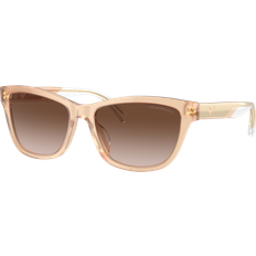 Emporio Armani Erwachsene Sonnenbrillen Emporio Armani EA4227U 609813