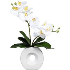 Künstliche Pflanzen reduziert Phalaenopsis Keramikvase Künstliche Pflanzen