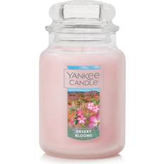 Yankee Candle Desert Blooms Pink Scented Candle 22oz