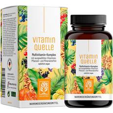 NATURTREU Vitamin Quelle Multivitamin Komplex 90 Stk.