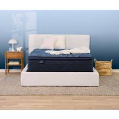 Serta Queen Bed Mattresses Serta Perfect Sleeper Oasis Sleep Queen Plush Bed Mattress