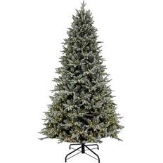 National Tree Company 10Ft Pre-Lit Frosted Holliston Artificial Dual Christmas Tree