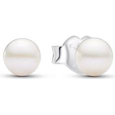 Pearl - Silver Earrings Pandora ørestikker med ferskvandsperle 4,5 mm sølv