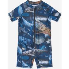 Jungen Anzüge Molo Boys Blue Shark Sun Suit Upf50