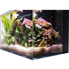 Pets 9.98 Gallon Low Iron Ultra Clear Aquarium Tank with X