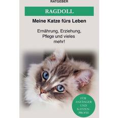Ragdoll Katze