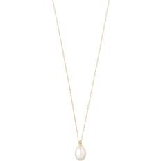 Pilgrim Eila Necklace - Gold/Pearl