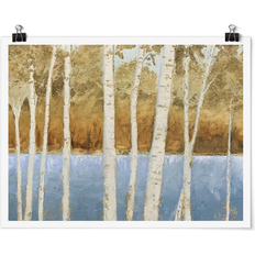 Birch Trees On The Lakeshore Multicolour Poster 40x30cm