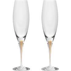 Munnblåste Champagneglass Orrefors Intermezzo Champagneglass 26cl 2st