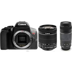 Canon EOS Rebel T8i + 18-55mm IS STM + 75-300 III