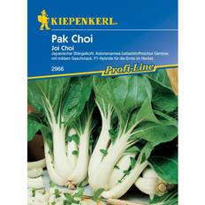 Gemüsesamen Kiepenkerl Pak Choi Samen Joi Choi Profi-Line