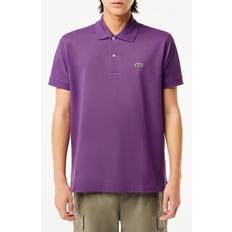 Lacoste Men - XXL Polo Shirts Lacoste Regular Fit Piqué Polo