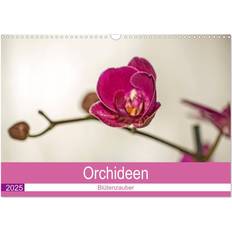 Calvendo 2025 Blütenzauber Orchideen Wandkalender A3