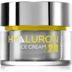 Alcina Hyaluron 2.0 Face Cream 50ml