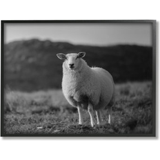 Stupell Sheep In Rural Country Field Black Framed Art 24x30"