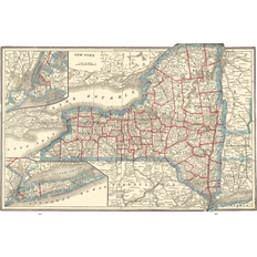 Maps of the Past New York Rathbun 1893 Multicolour Poster 35.4x23"