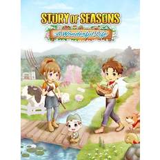 PC-spill STORY OF SEASONS: A Wonderful Life (PC)