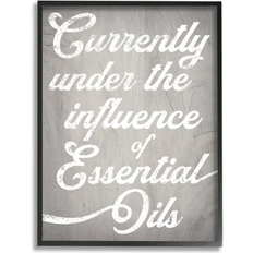 Interior Details Stupell Witty Essential Oils Humor Vintage Style Text Wall Polselli Framed Art 16x20"