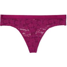 Women Wear Everywhere Lace Thong Panty - Vivid Magenta