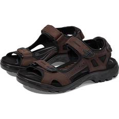 Ecco Men Sport Sandals ecco Men's Yucatan Sandal Leather Mocha