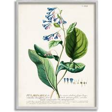 Stupell Industries Botanical Plant Illustration Blue Flowers Gray Framed Art 24x30"