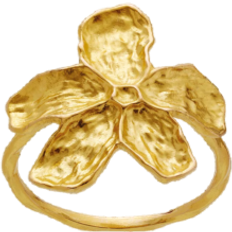 Maanesten Fraisa Ring - Gold