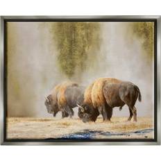 Stupell Bison Wildlife Grey Framed Art 31x25"