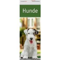 Monat Kalender Ars Vivendi, Kalender, Hunde 2025 Deutsch