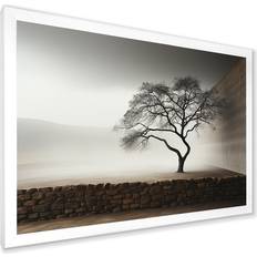 Design Art Minimalism Photography Of Sererity Tree White Framed Art 20x12"