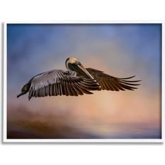 Stupell Graceful Flyer Pelican Portrait White Framed Art 20x16"