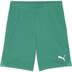 Supporterprodukter Puma teamGOAL Shorts, fotballshorts, herre