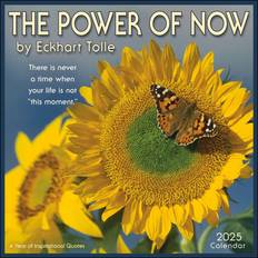 Andrews McMeel Publishing 2025 The Power of Now Wall Calendar