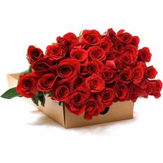 Birthday Flowers, Love Flowers, Flowers for Weddings Red Roses