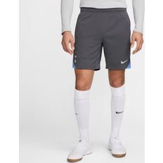 Hosen & Shorts reduziert Nike Tottenham Hotspur Trainingsshort Dunkelgrau