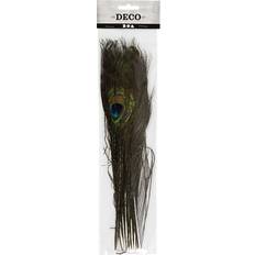 Feathers Creativ Company Peacock Feathers 10-pack