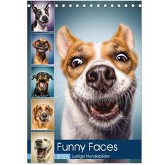 Calvendo Funny Faces Dog Pictures Desk Calendar 2025 A5