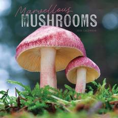 Carousel Calendars Marvellous Mushrooms Calendar 2025