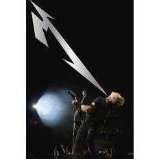 Metallica: Quebec Magnetic [Blu-ray]