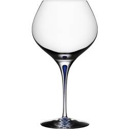 Orrefors Intermezzo Blue Bouquet White Wine Glass, Red Wine Glass 70cl