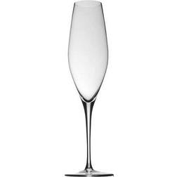 Rosenthal Fuga Champagne Glass 32cl