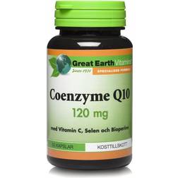 Great Earth Coenzyme Q10 120mg 60 Stk.