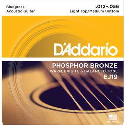 D'Addario EJ19