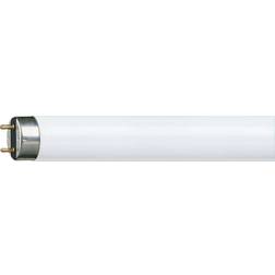 Philips TL-D Fluorescent Lamp 36W G13