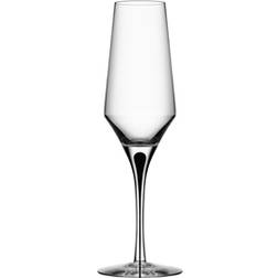 Orrefors Metropol Champagne Glass 27cl 2pcs
