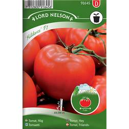 Nelson Garden Tomato High Hildares F1 6 pack