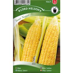 Nelson Garden Corn Sugar Sweet Nugget F1 17 pack