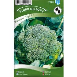 Nelson Garden Broccoli Premium Crop F1 72 pack