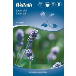 Weibulls Lavender