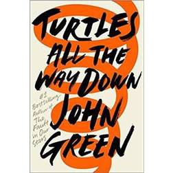 Turtles All the Way Down (Gebunden, 2017)