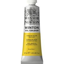 Winsor & Newton Winton Oil Color Cadmium Yellow Pale Hue 37ml